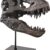 Tyrannosaurus Rex Schädelskulptur
